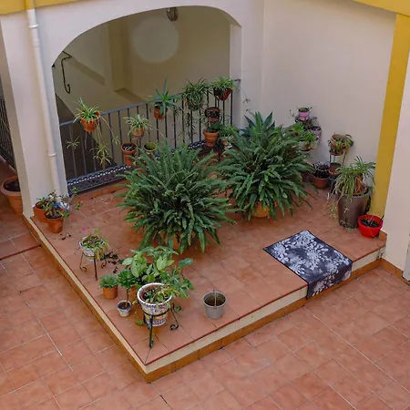 Duplex, Terraza, 10 Min Coche Centro Sevilla